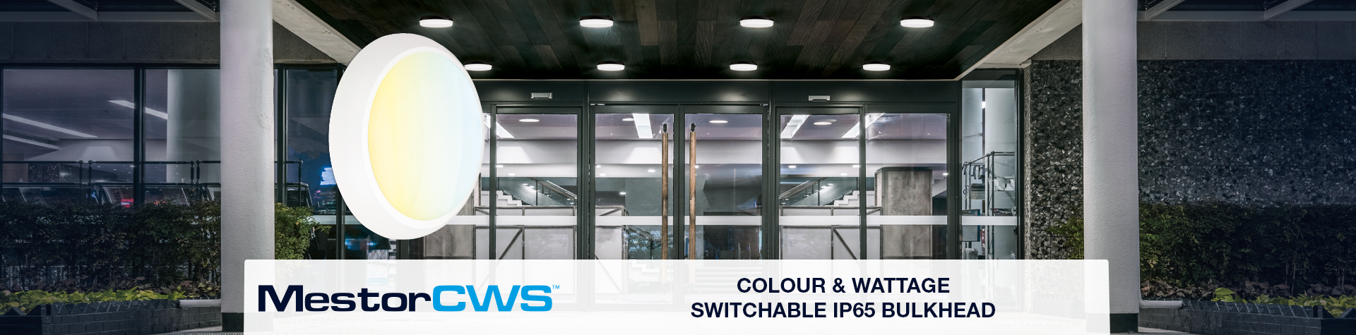 Show products in category Colour and Wattage Switchable Bulkhead